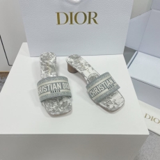 Christian Dior Slippers